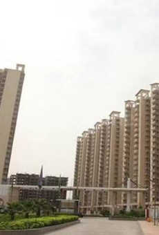 Gaur Sportswood