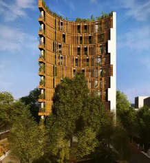 38-& banyan