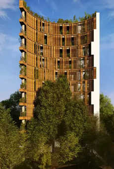 38 & Banyan
