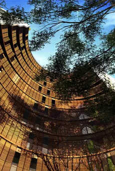 38 & Banyan
