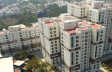 Radiance Mandarin