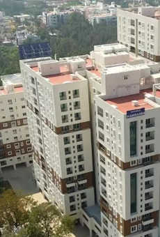 Radiance Mandarin