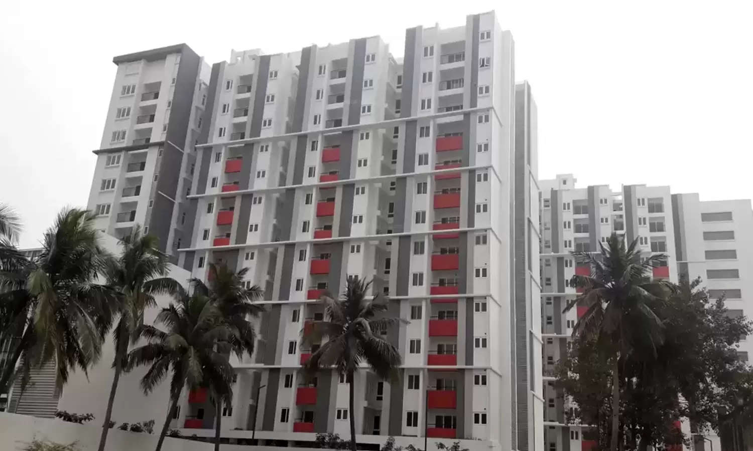 Elevation Image