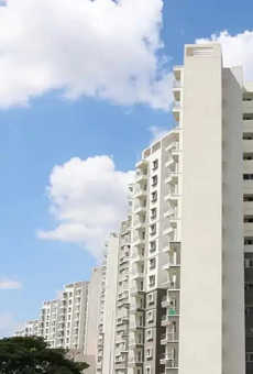 Purva 270