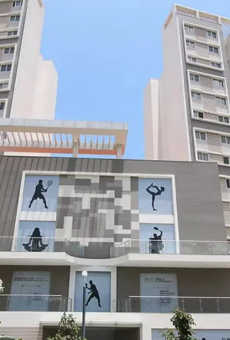 Purva 270