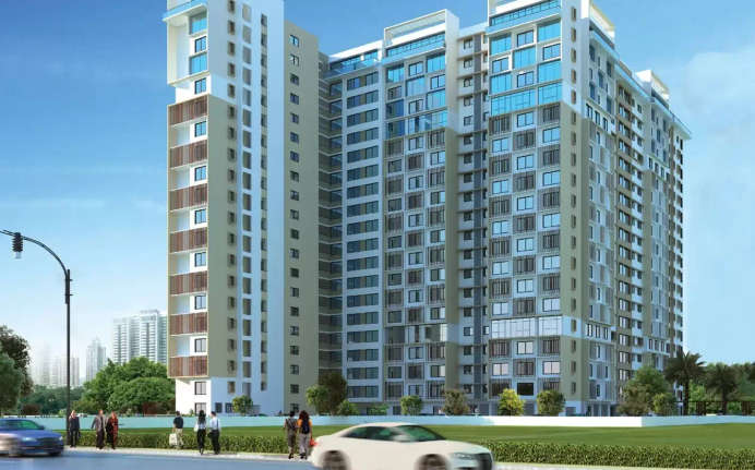 Purva Sunflower Binny Pete