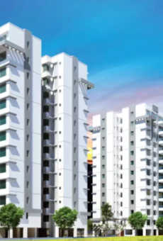 Purva Whitehall