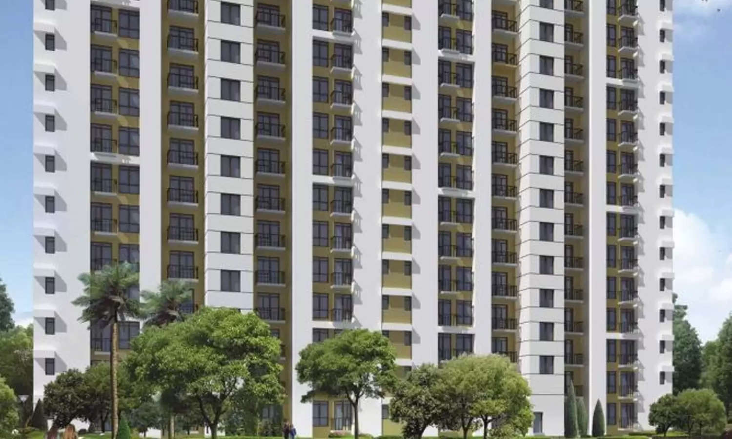 Elevation Image