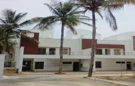 chartered-grasshopper