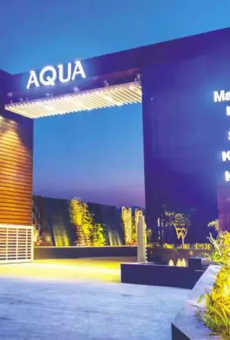 Majestique Aqua