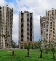 apex-golf avenue