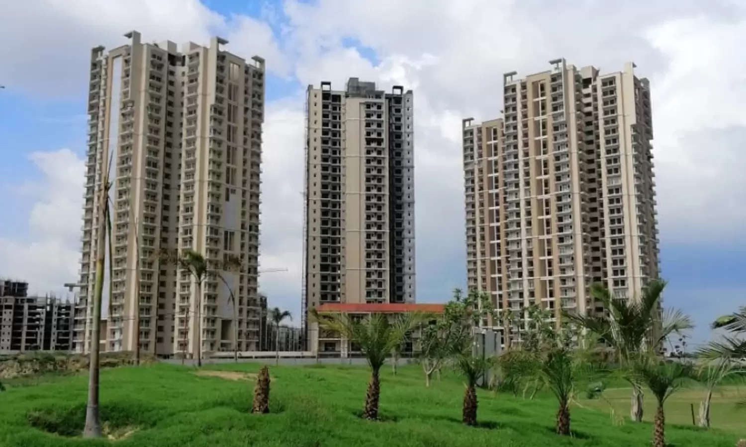 Apex Golf Avenue
