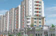 Radiance Ivy Terrace