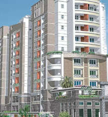 radiance-ivy terrace