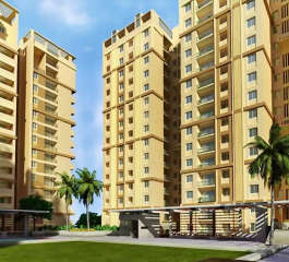 pacifica-happiness towers