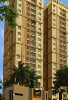 Pacifica Happiness Towers