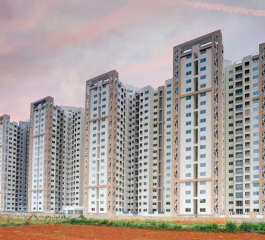 shriram-greenfield