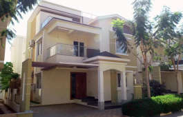 ncc-urban green province