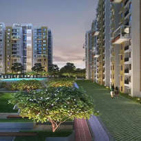 purva-zenium