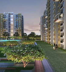 purva-zenium