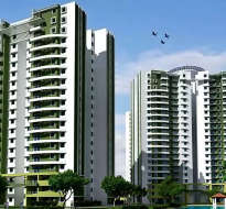 purva-skywood