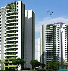 purva-skywood