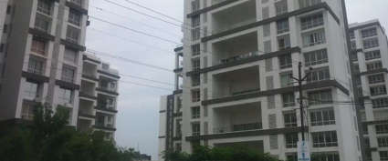 Marvel Isola Mohammed Wadi