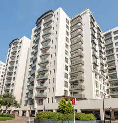 pride-purple park titanium