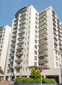 pride-purple park titanium