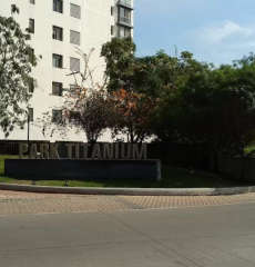 pride-purple park titanium