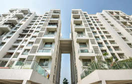 pride-purple park titanium