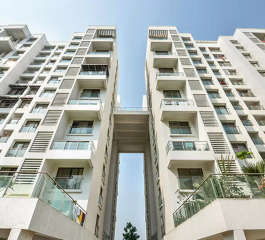 pride-purple park titanium