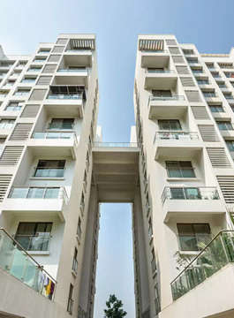 pride-purple park titanium