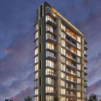 shapoorji-the designate