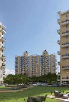 Nyati Ethos