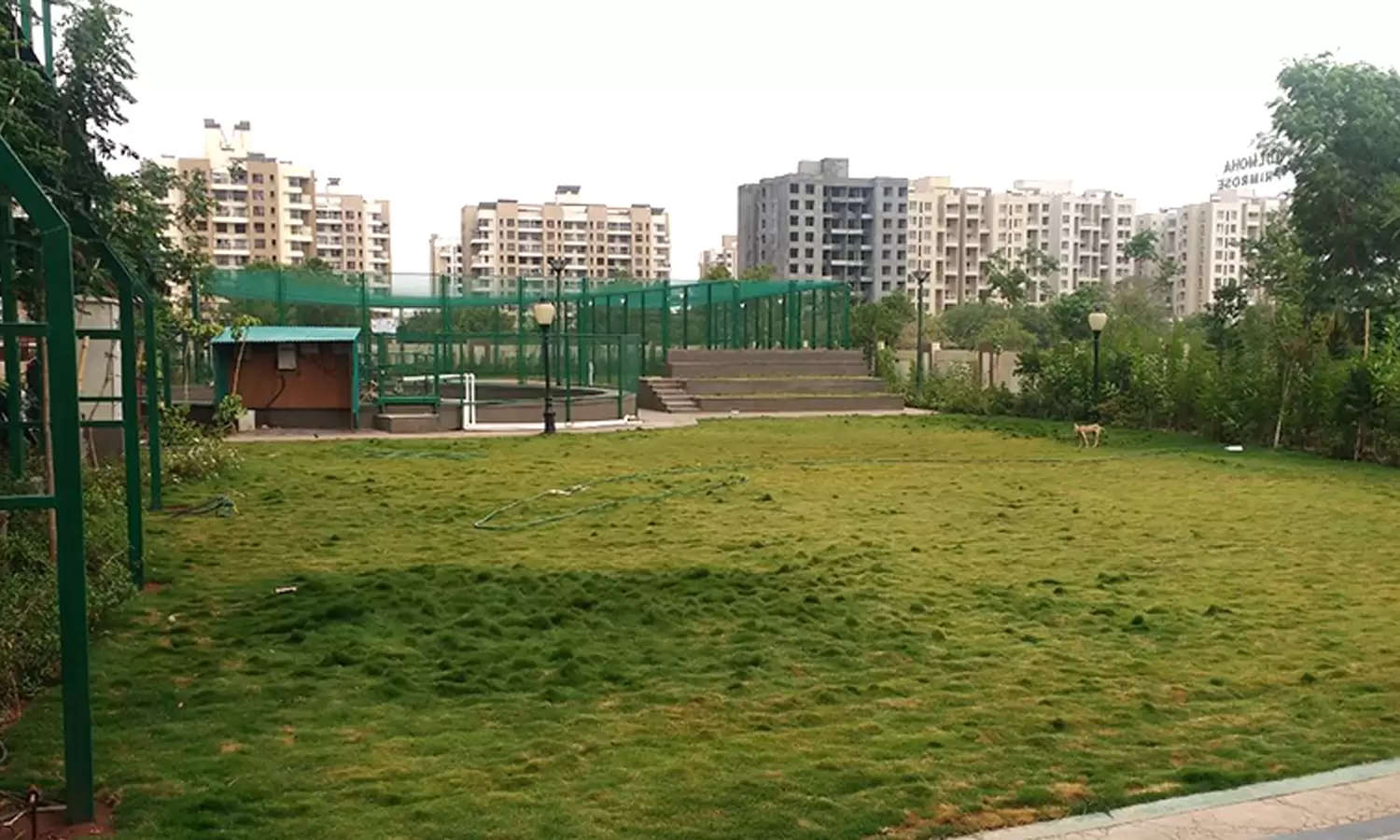 Park