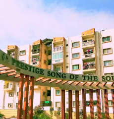 prestige-song of the south