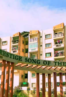 Prestige Song Of The South