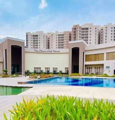 prestige-song of the south