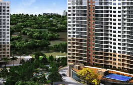 shriram-chirping woods