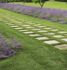 jaypee-greens wish town klassic