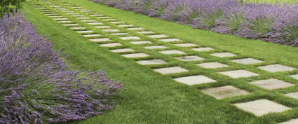 Jaypee Greens Wish Town Klassic Sector 129