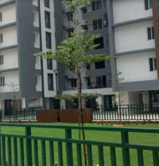 appaswamy-the bloomingdale