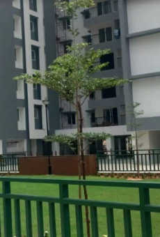 Appaswamy The Bloomingdale