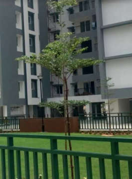 appaswamy-the bloomingdale