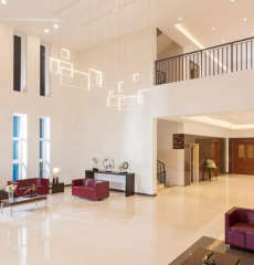 appaswamy-the bloomingdale