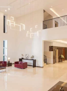 appaswamy-the bloomingdale