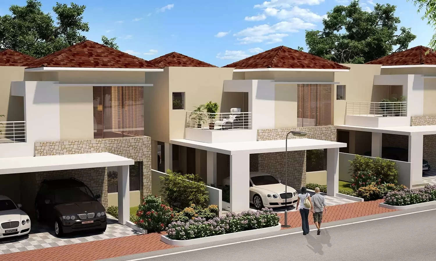 Elevation Image