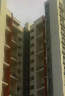 Gera Greensville