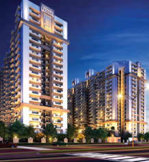 gulshan-bellina
